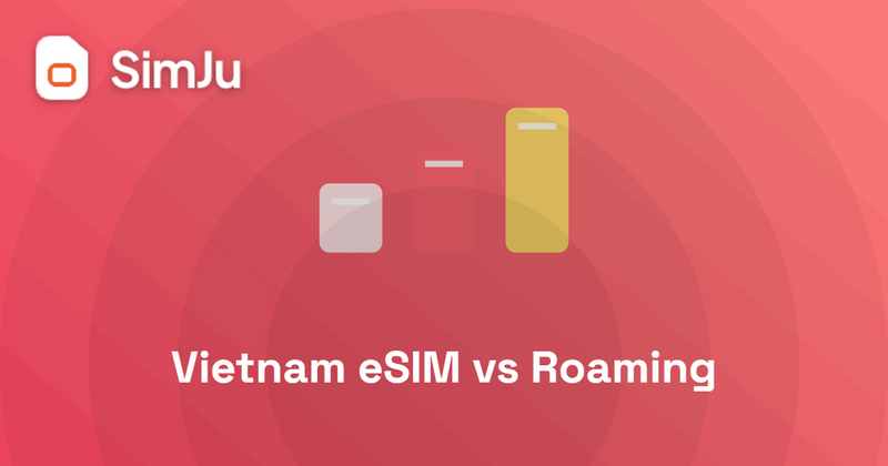 vietnam esim vs roaming